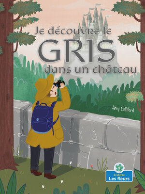 cover image of Je découvre le gris dans un château (I Spy Gray in a Castle)
